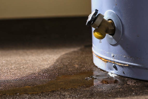 Best Local water damage restoration  in Hidden Valley Lake, CA