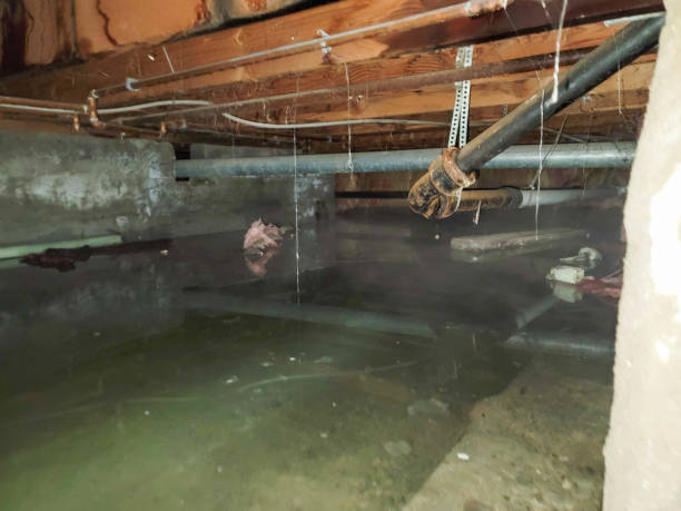 Best Residential water damage restoration  in Hidden Valley Lake, CA