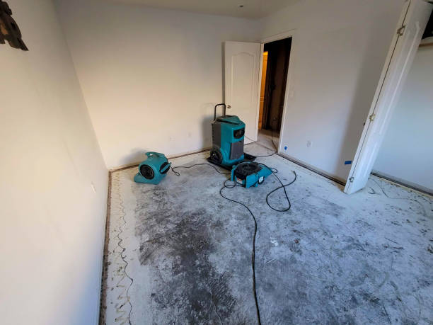 Best 24/7 water damage repair  in Hidden Valley Lake, CA