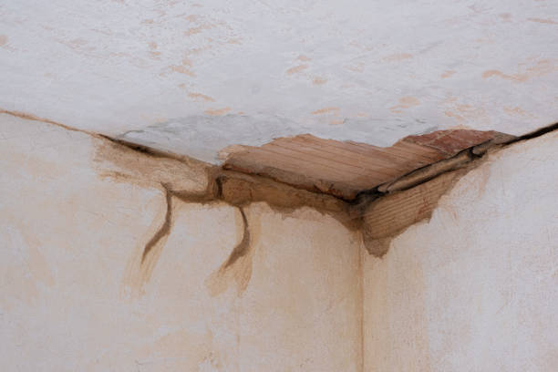 Best 24-hour water damage restoration  in Hidden Valley Lake, CA