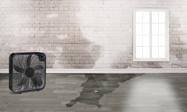 Best Flood restoration services  in Hidden Valley Lake, CA