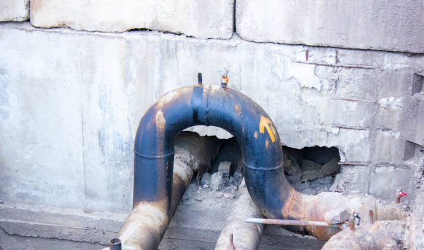 Best Mold removal after water damage  in Hidden Valley Lake, CA