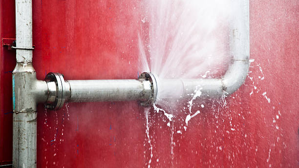 Best Professional water damage repair  in Hidden Valley Lake, CA